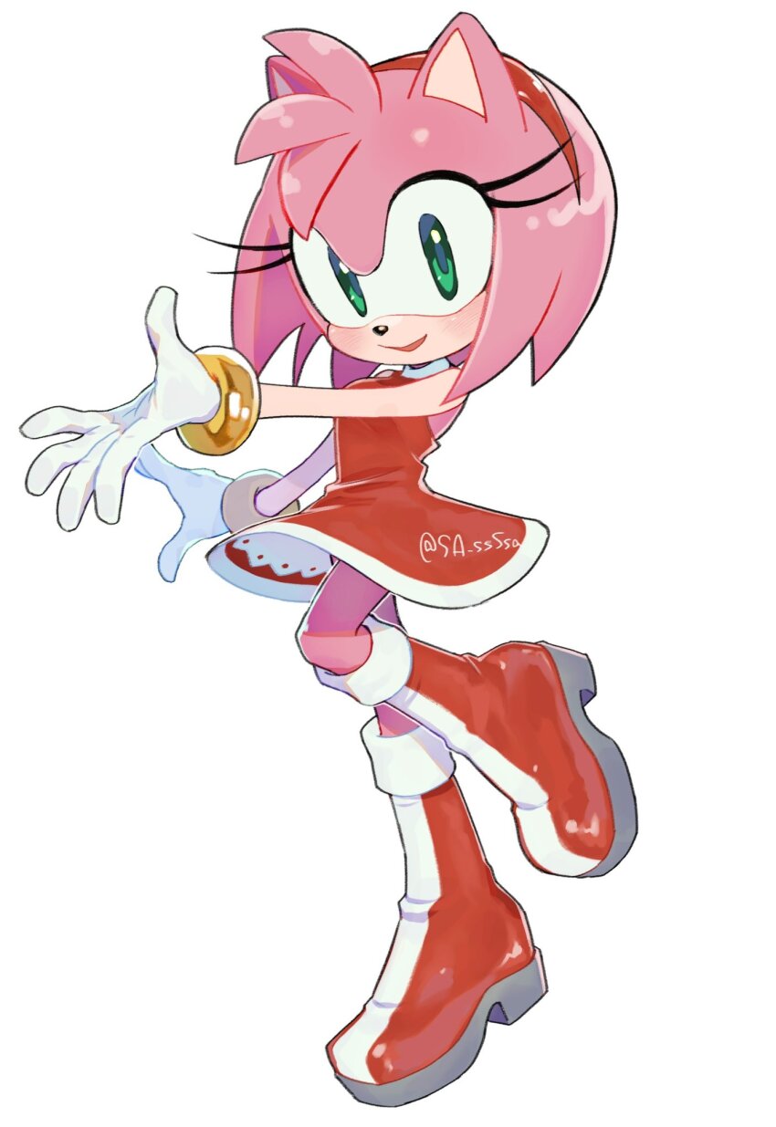 Amy Rose (Sonic (Series)) Rule 34 Image