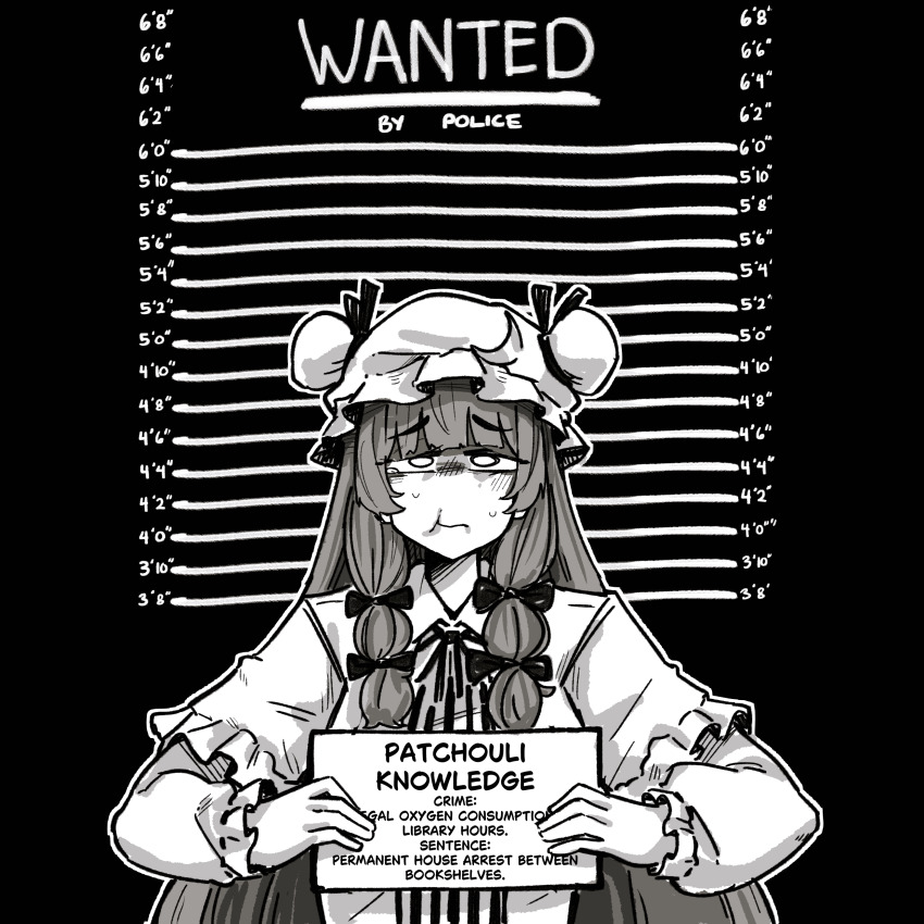 Hong Meiling (Touhou) Rule 34 Image