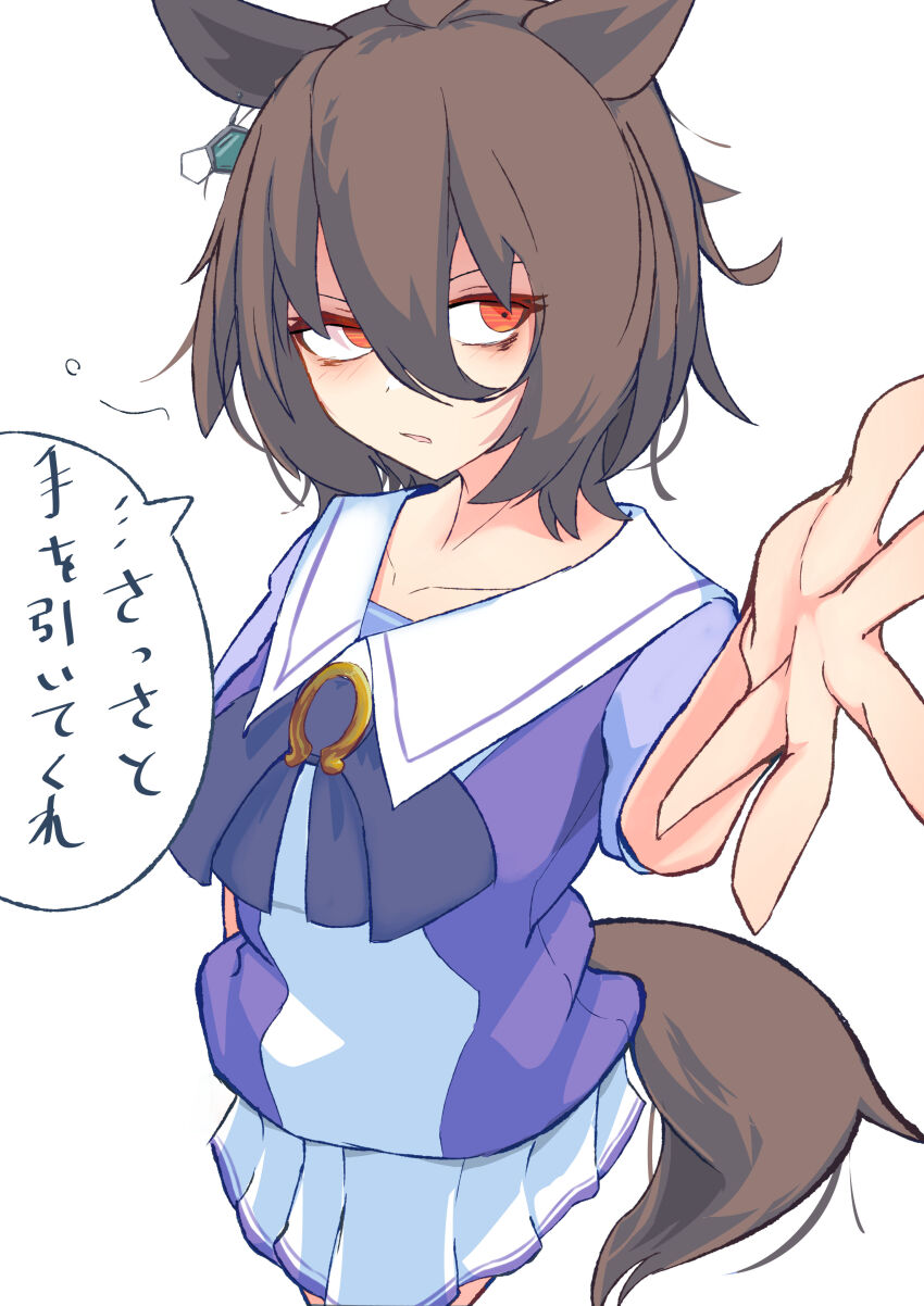 Agnes Tachyon (Umamusume) Rule 34 Image