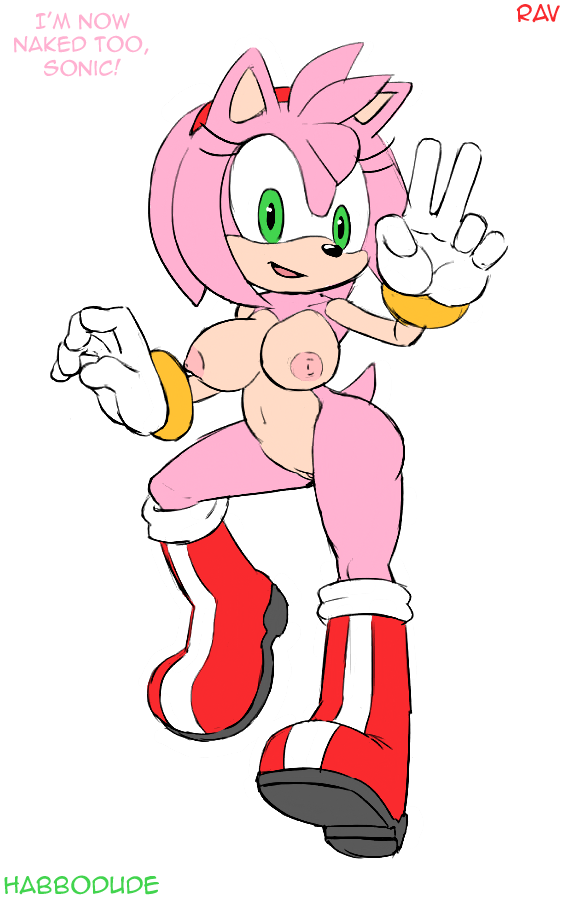 Amy Rose (Sega) Rule 34 Image