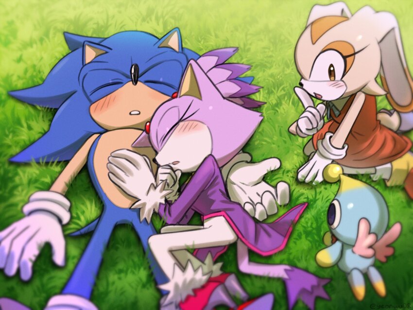 Blaze The Cat (Sonic (Series)) Rule 34 Image