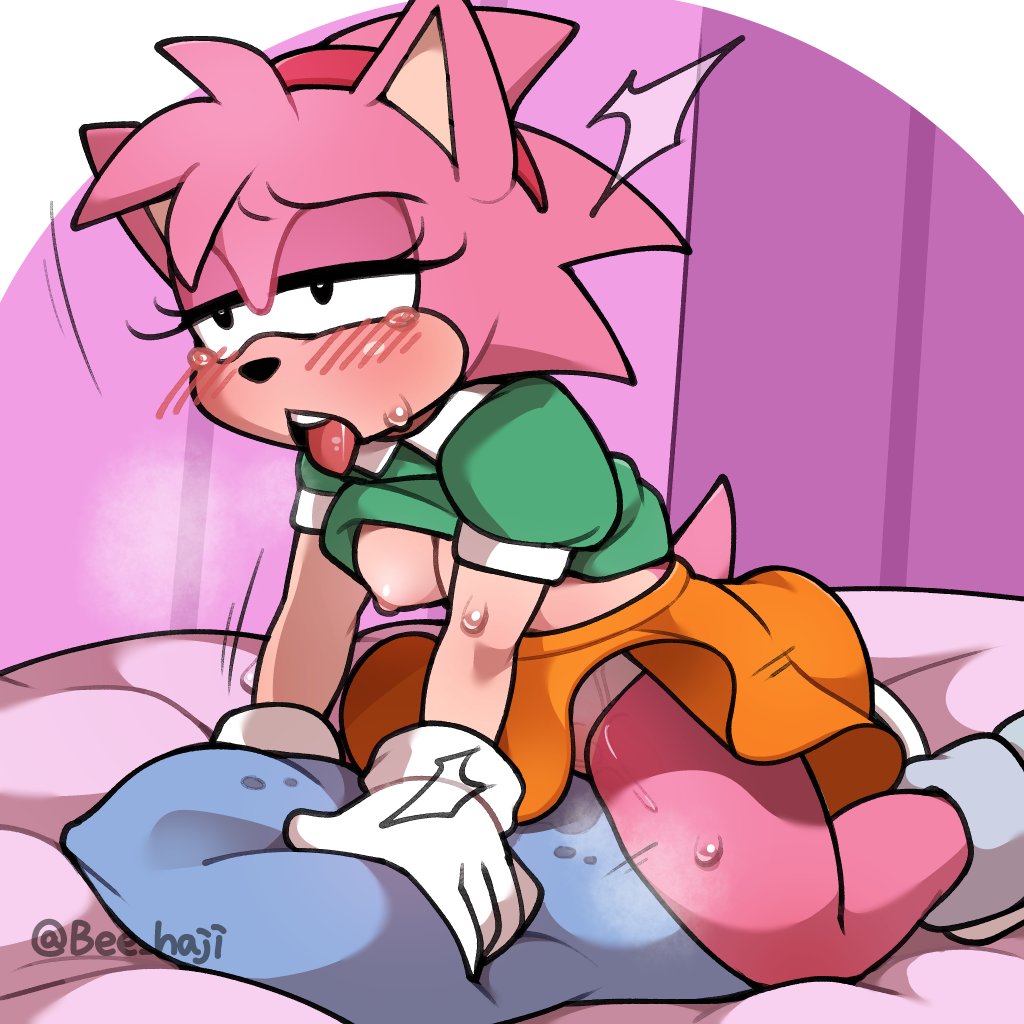 Amy Rose (Sonic (Series)) Rule 34 Image
