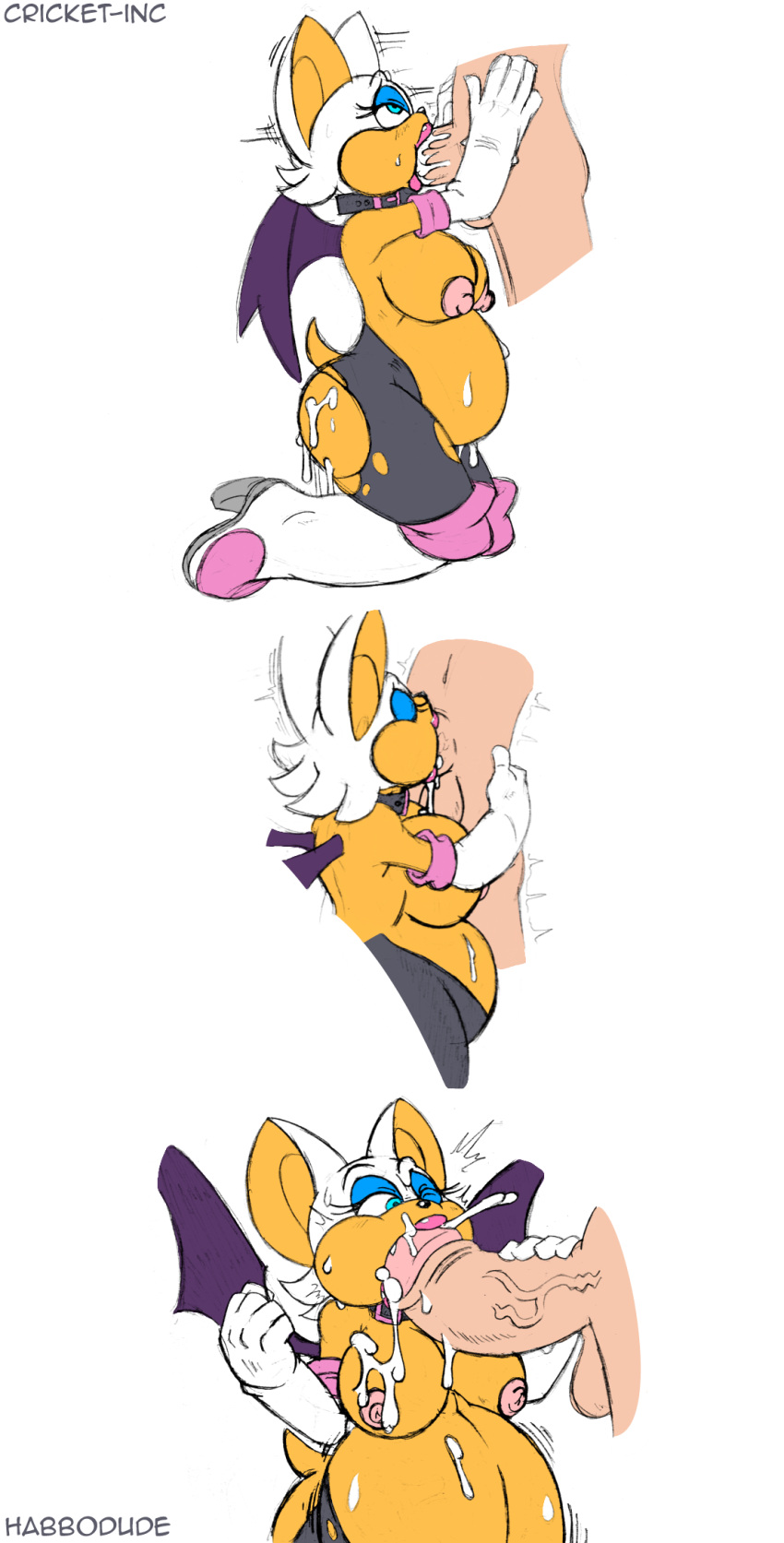 Sonic (Series) Rule 34 Image