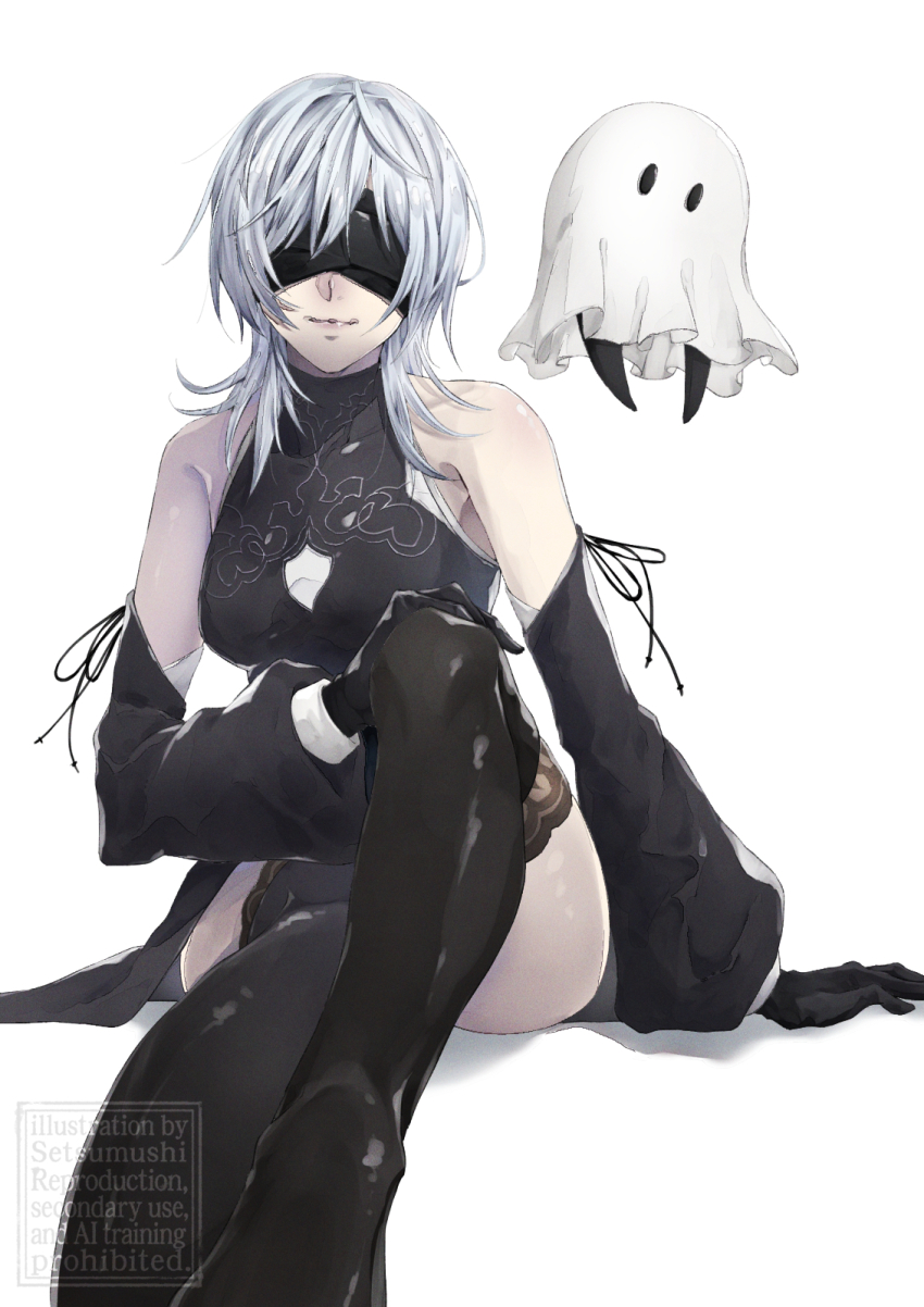 Nier (Series) Rule 34 Image