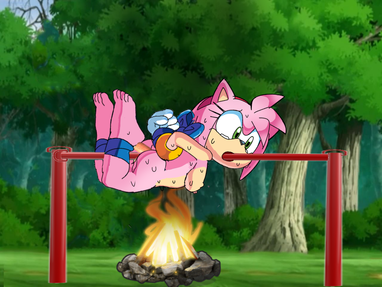 Amy Rose (Sonic (Series)) Rule 34 Image
