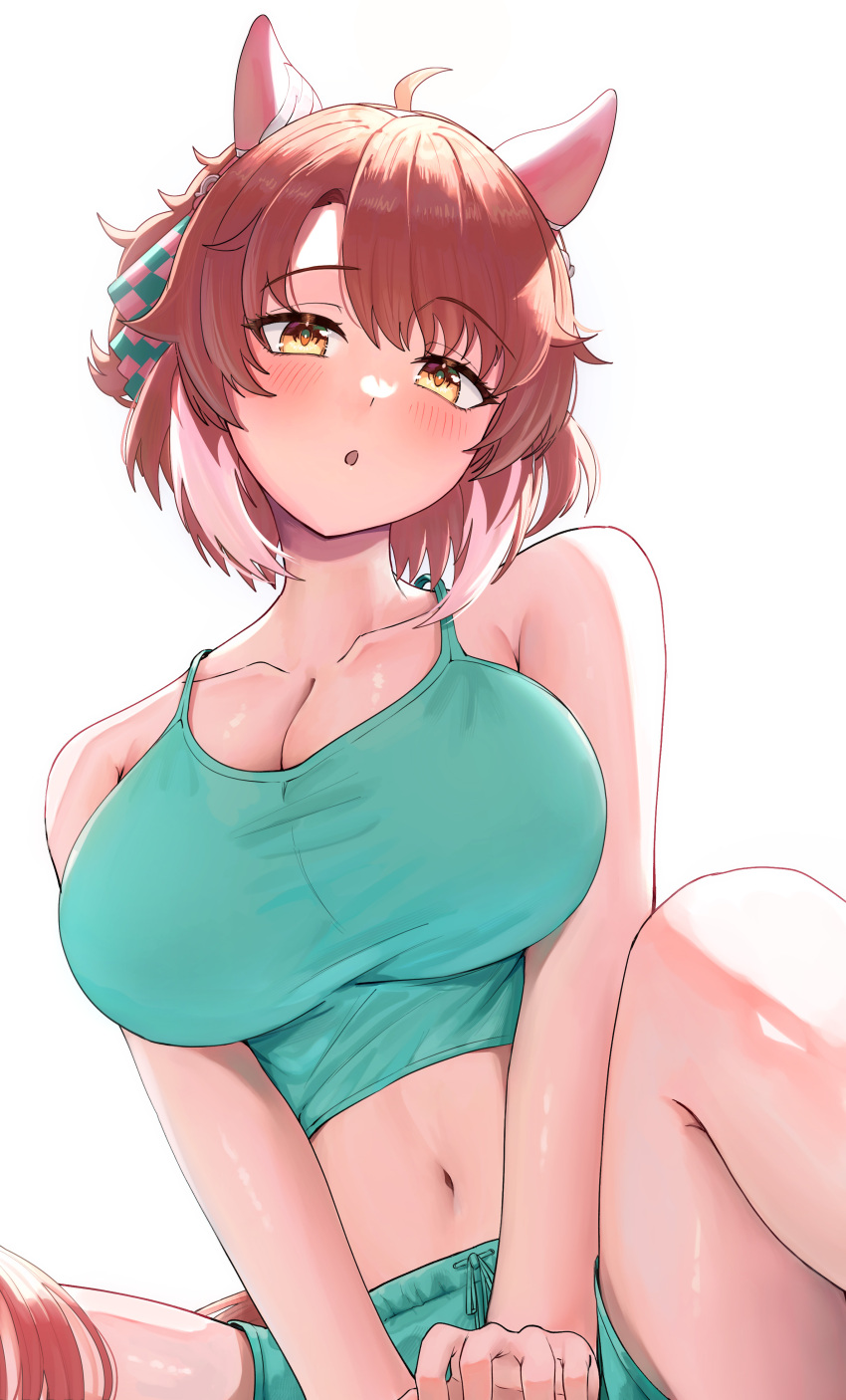 Dantsu Flame (Umamusume) Rule 34 Image
