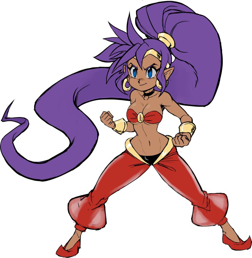 Shantae Rule 34 Image