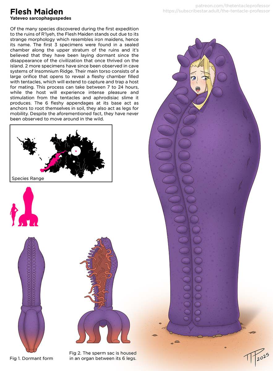 Dr. Elizabeth (Ttp) Rule 34 Image
