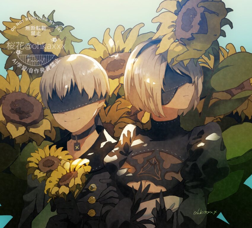 2b (Nier:Automata) Rule 34 Image