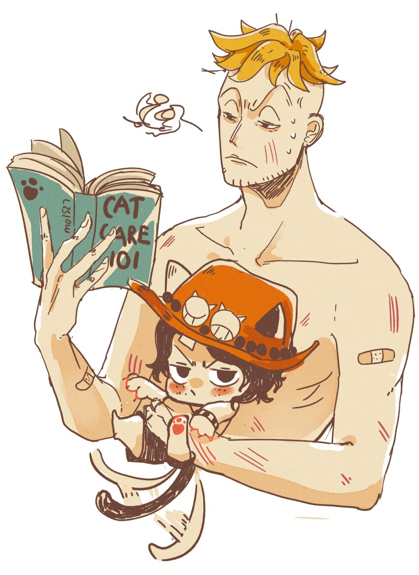 Marco (One Piece) Rule 34 Image