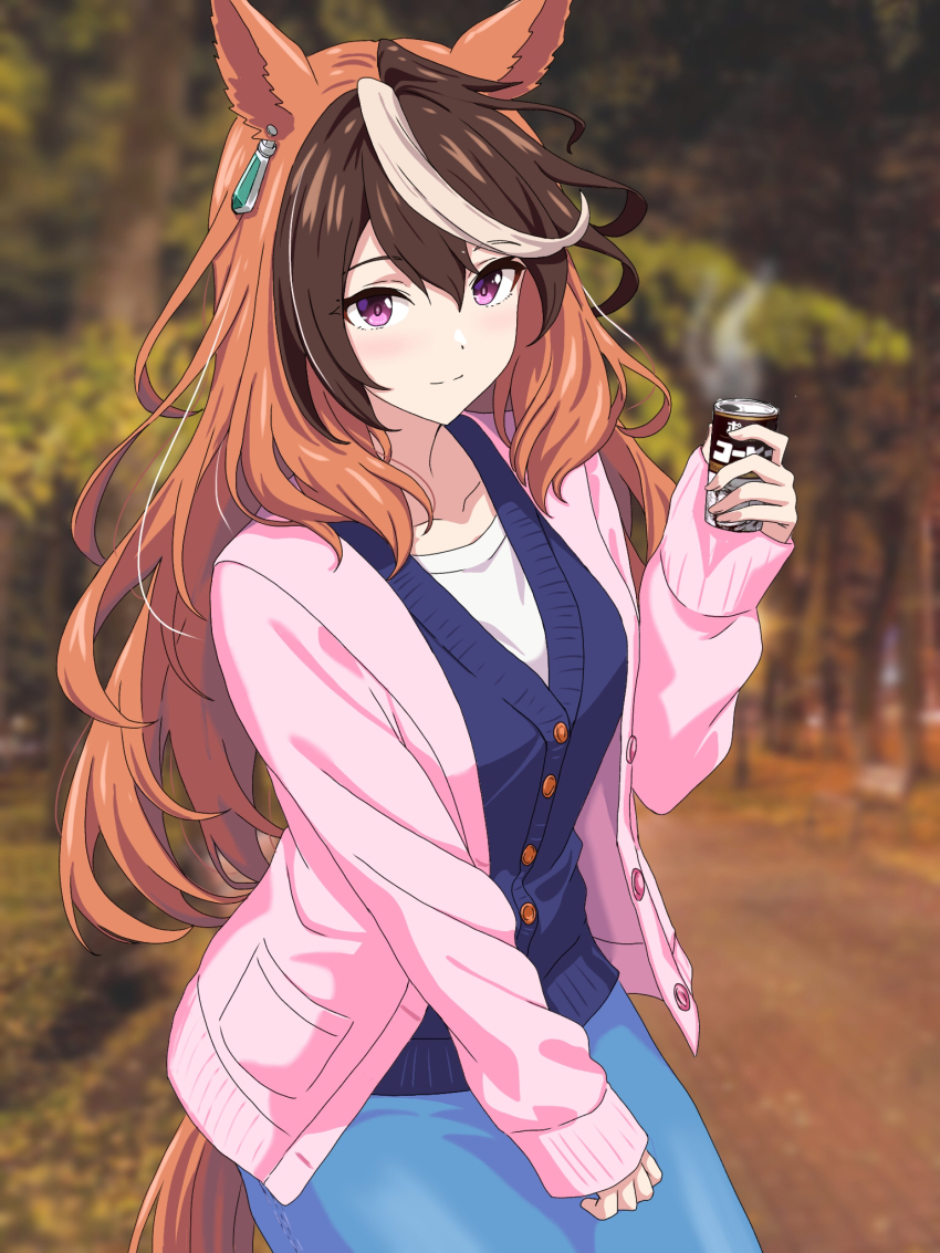 Symboli Rudolf (Umamusume) Rule 34 Image