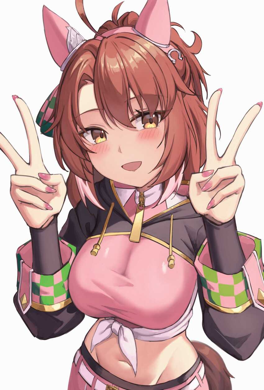 Dantsu Flame (Center Spotlight) (Umamusume) Rule 34 Image