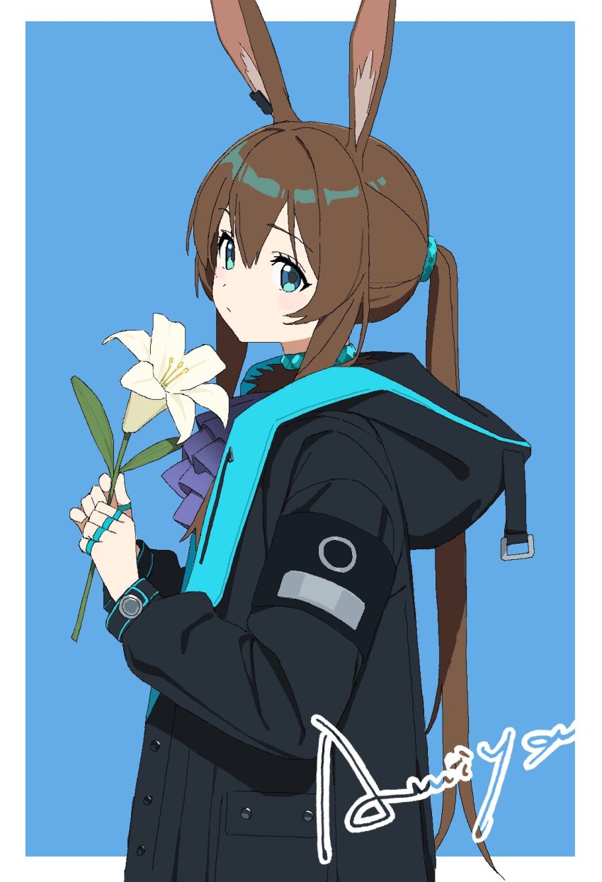 Amiya (Arknights) Rule 34 Image