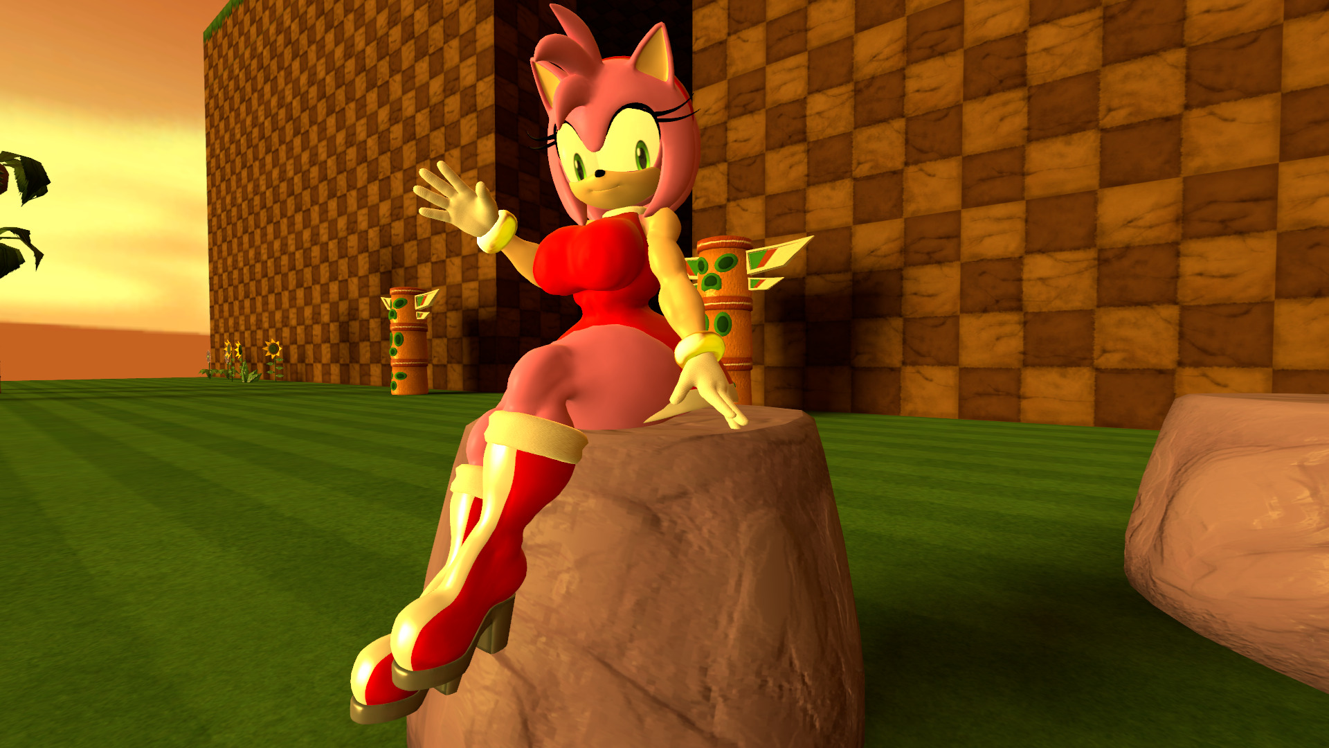 Amy Rose (Sonic (Series)) Rule 34 Image