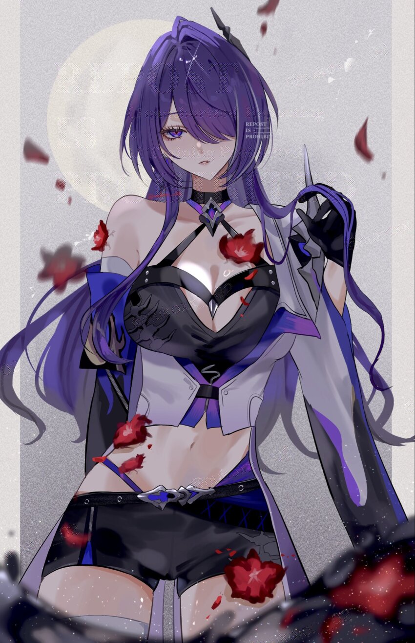 Acheron (Honkai: Star Rail) Rule 34 Image