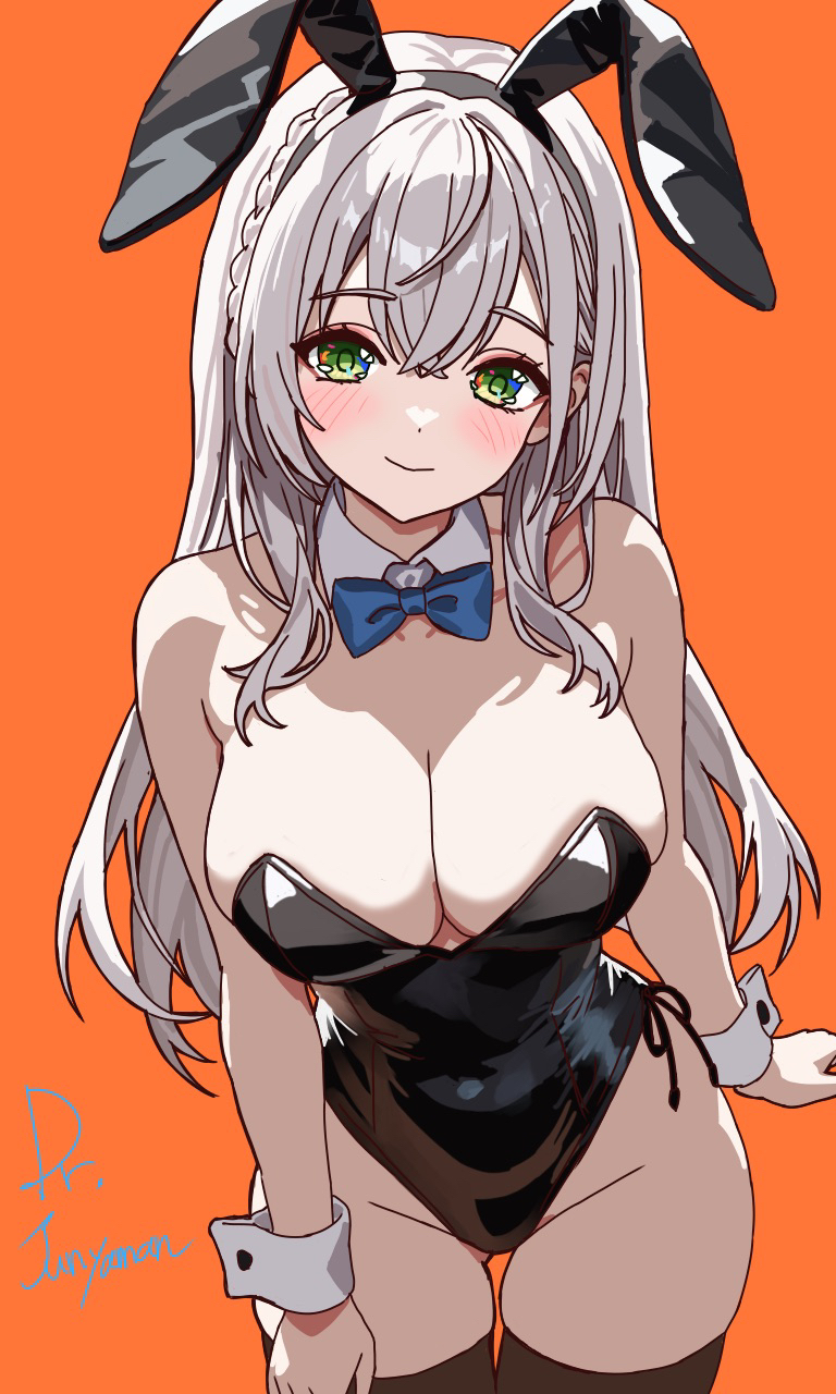 Shirogane Noel (Hololive) Rule 34 Image
