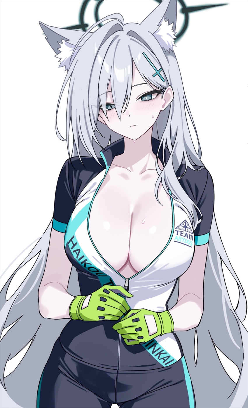 Shiroko (Blue Archive) Rule 34 Image