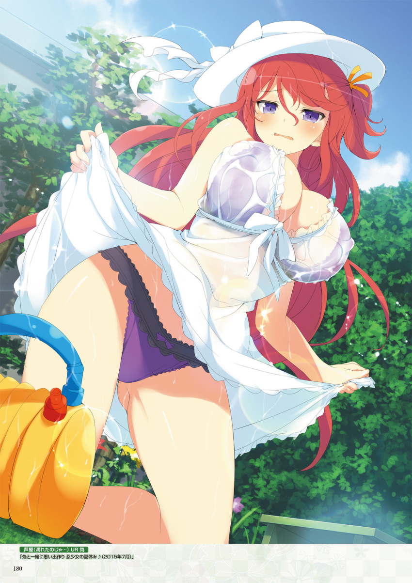 Ashiya (Senran Kagura) Rule 34 Image