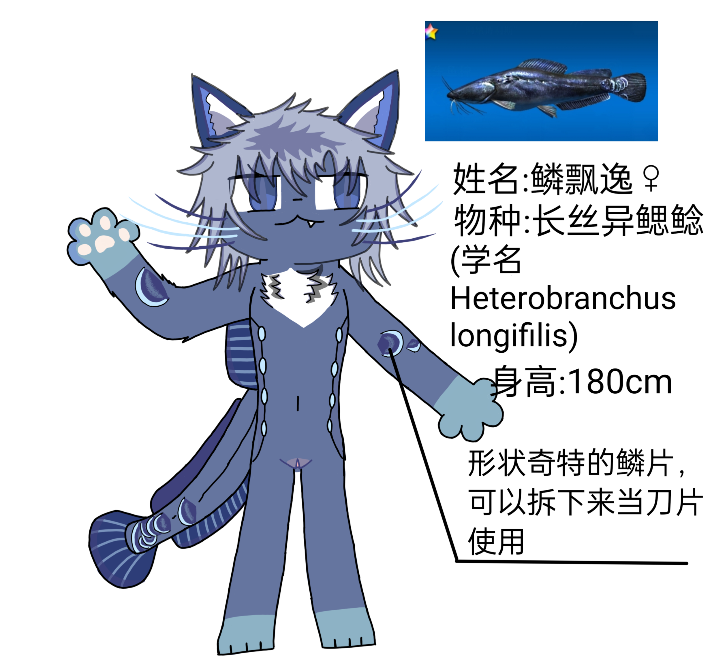 Barbel (Anatomy) Rule 34 Image