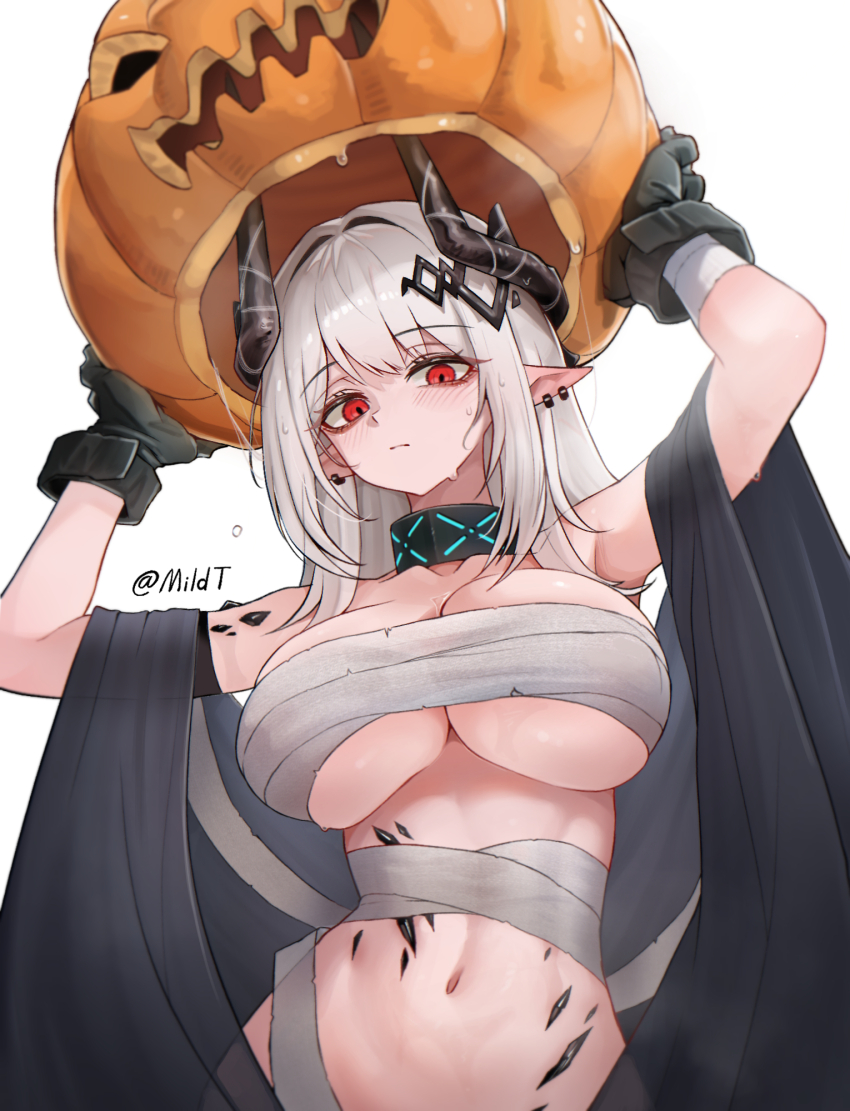 Mudrock (Arknights) Rule 34 Image