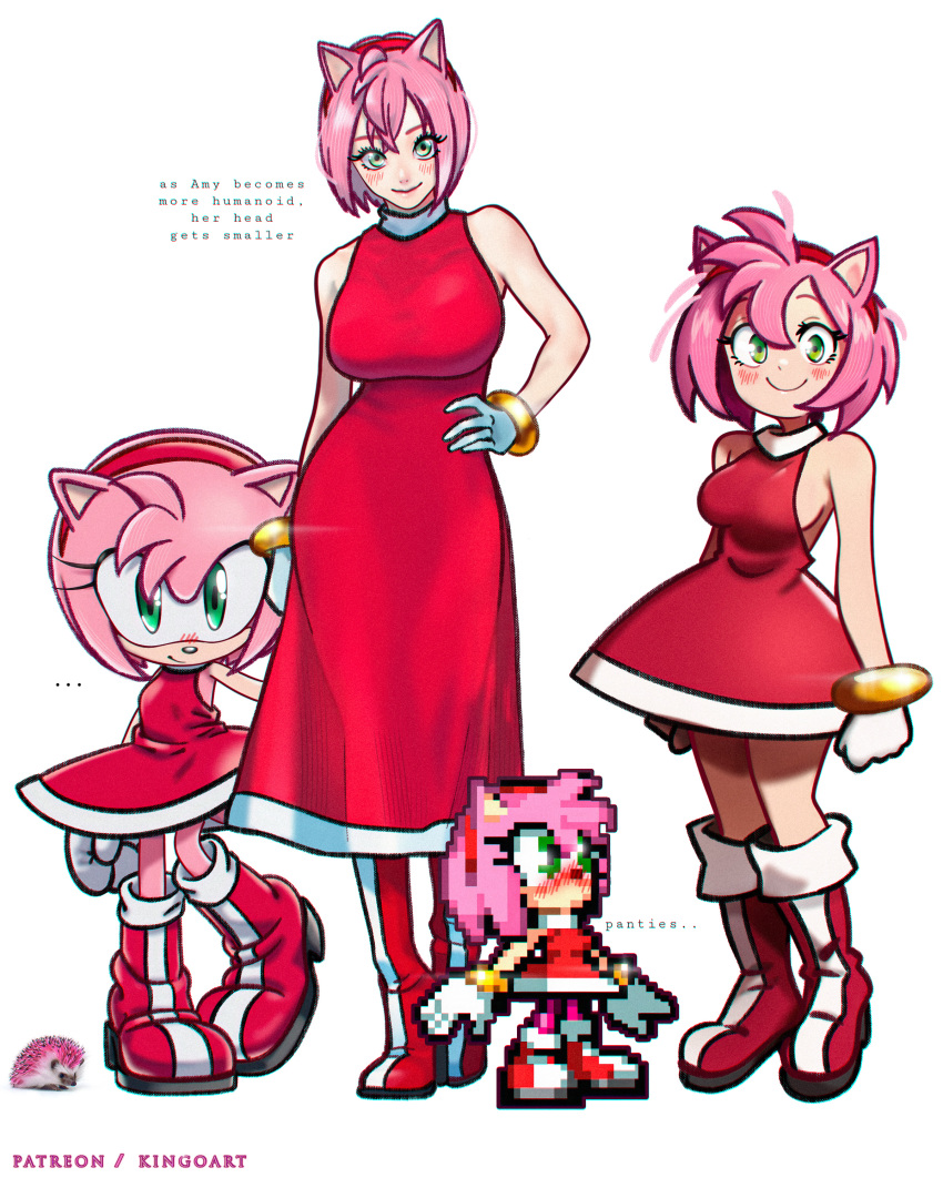 Amy Rose (Sega) Rule 34 Image