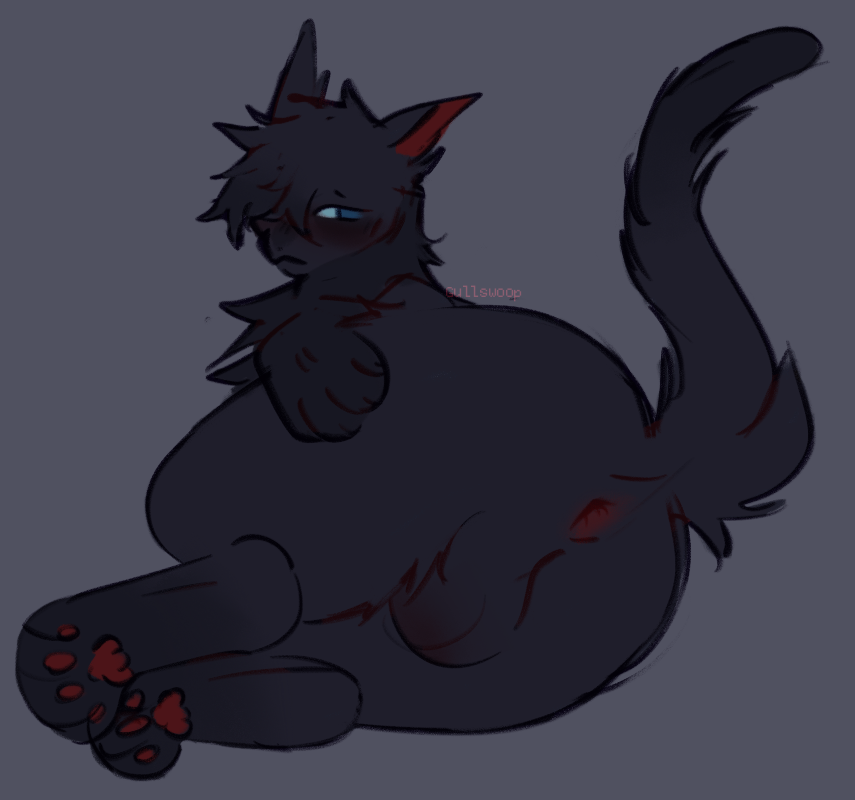 Crowfeather (Warriors) Rule 34 Image