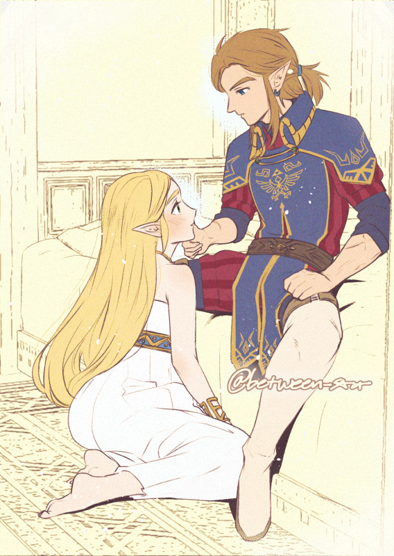 Link (Nintendo) Rule 34 Image