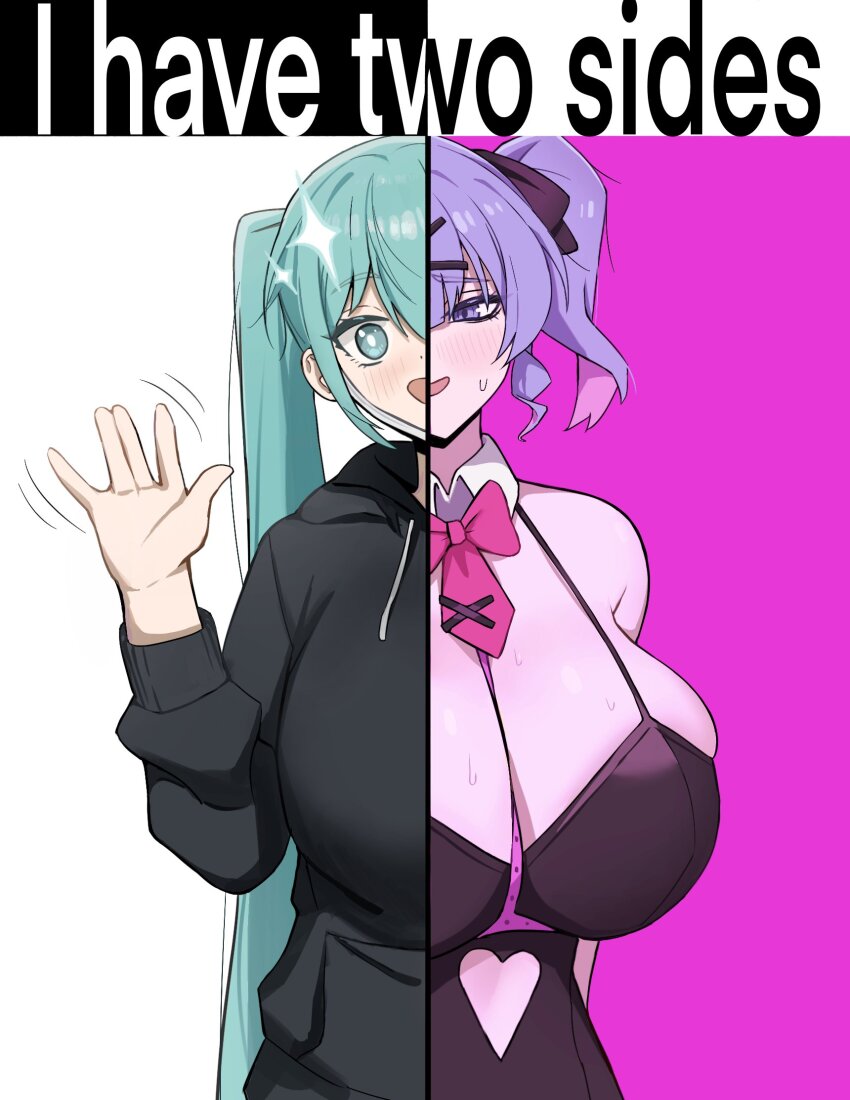 Hatsune Miku (I Have Two Sides (Meme)) Rule 34 Image