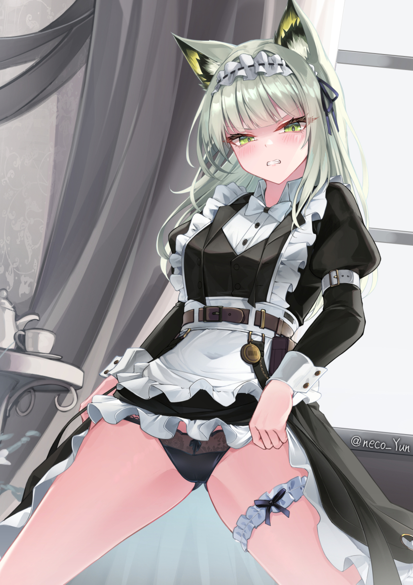 Kal'Tsit (Arknights) Rule 34 Image