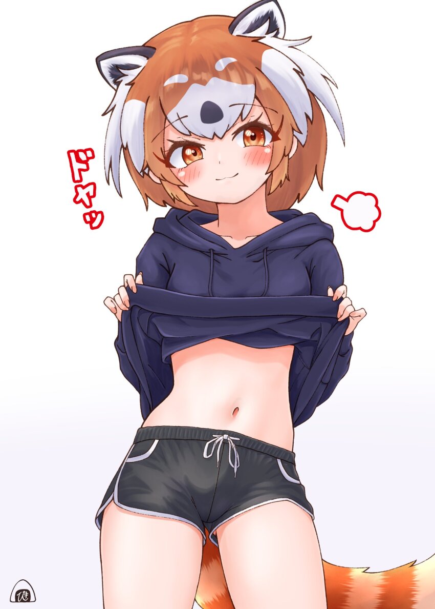Kemono Friends Rule 34 Image
