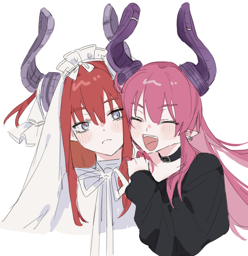 Elizabeth Bathory (Fate) Rule 34 Image