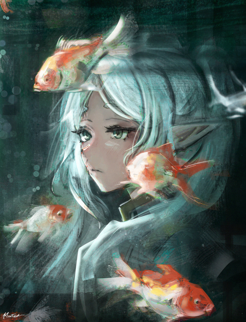 Frieren (Sousou No Frieren) Rule 34 Image