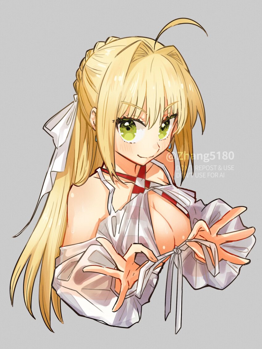 Nero Claudius (Fate) Rule 34 Image