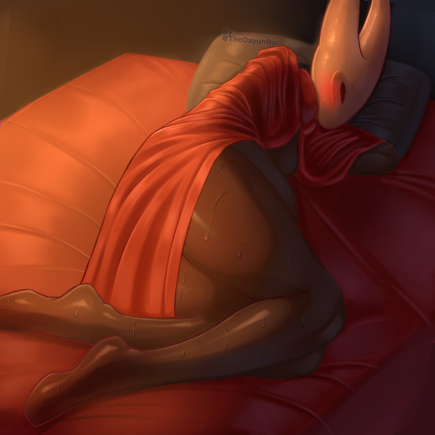 Hornet (Hollow Knight) Rule 34 Image
