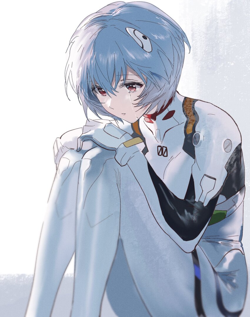 Ayanami Rei (Neon Genesis Evangelion) Rule 34 Image