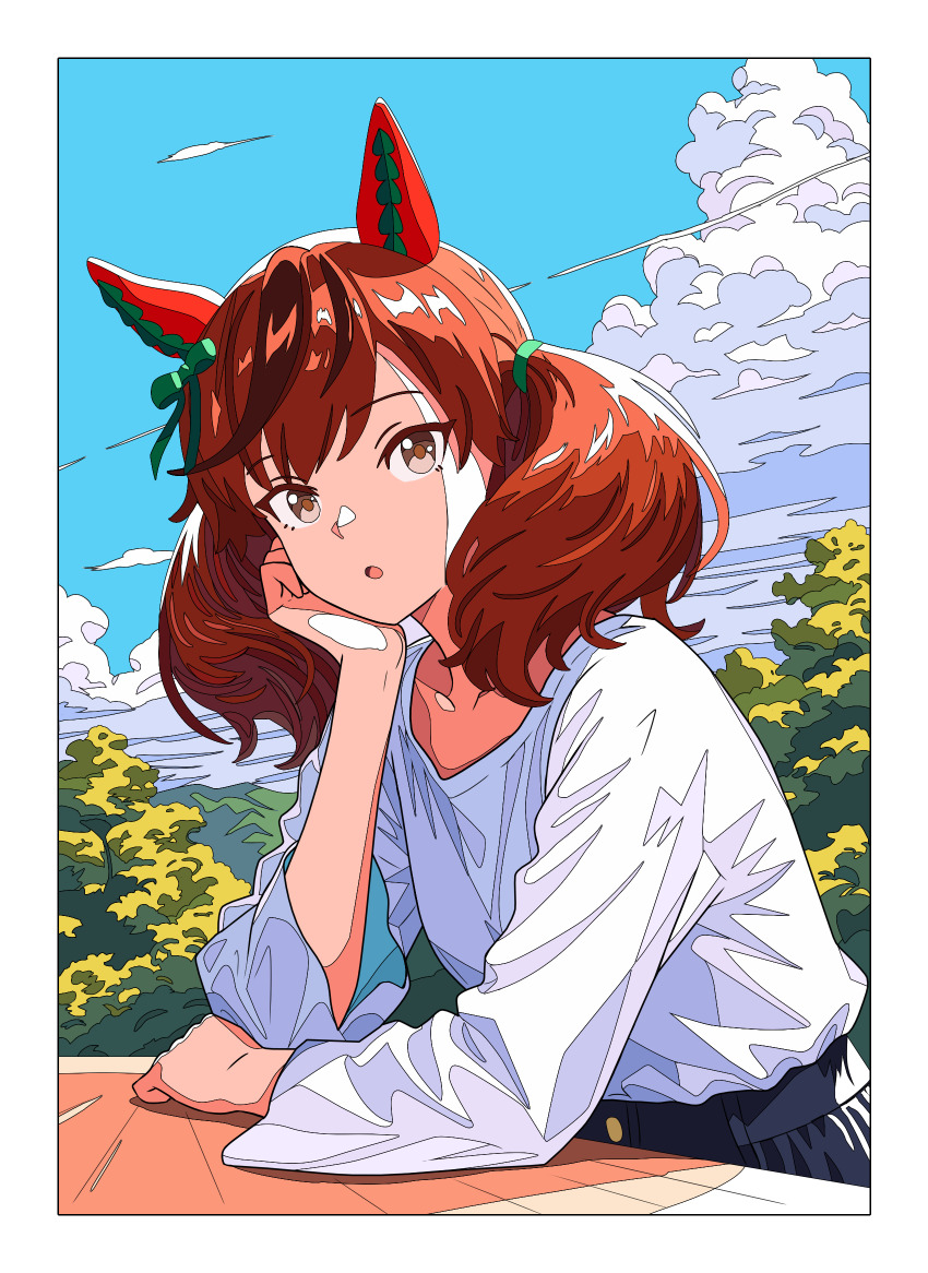 Nice Nature (Umamusume) Rule 34 Image