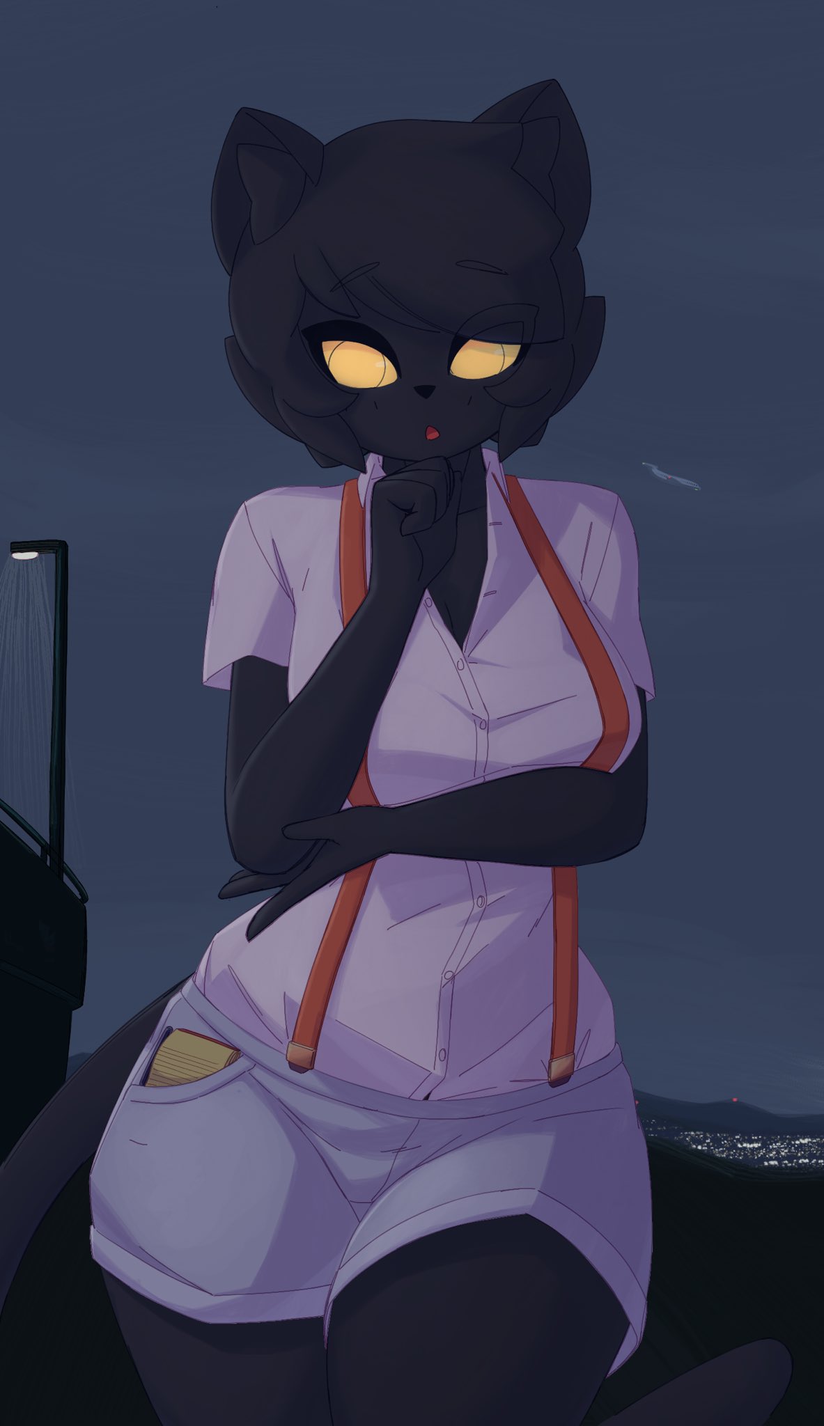 Marriot (Dullyarts) Rule 34 Image