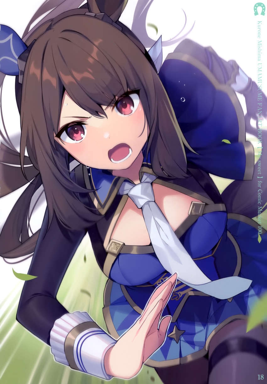 Admire Vega (Umamusume) Rule 34 Image