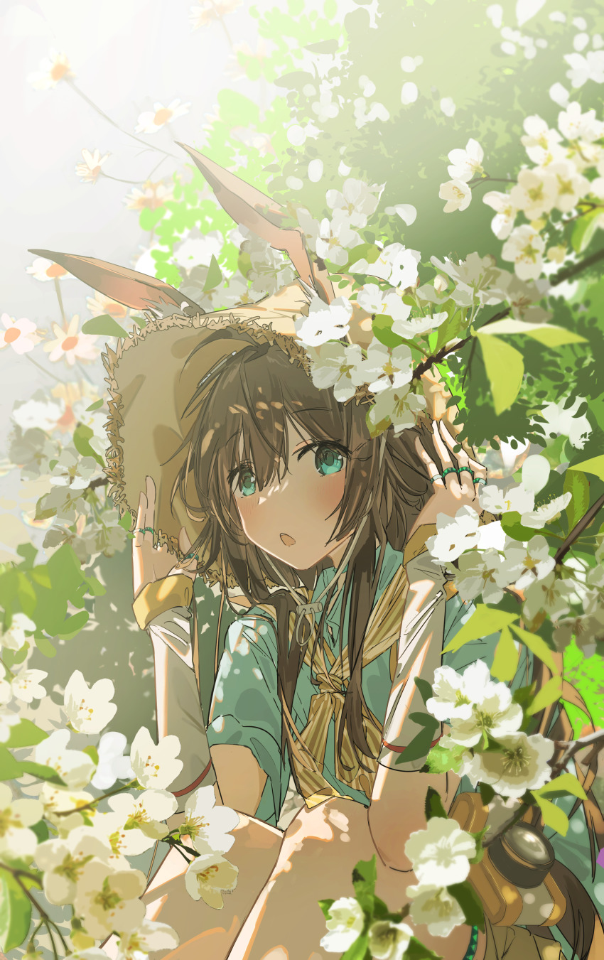 Amiya (Arknights) Rule 34 Image