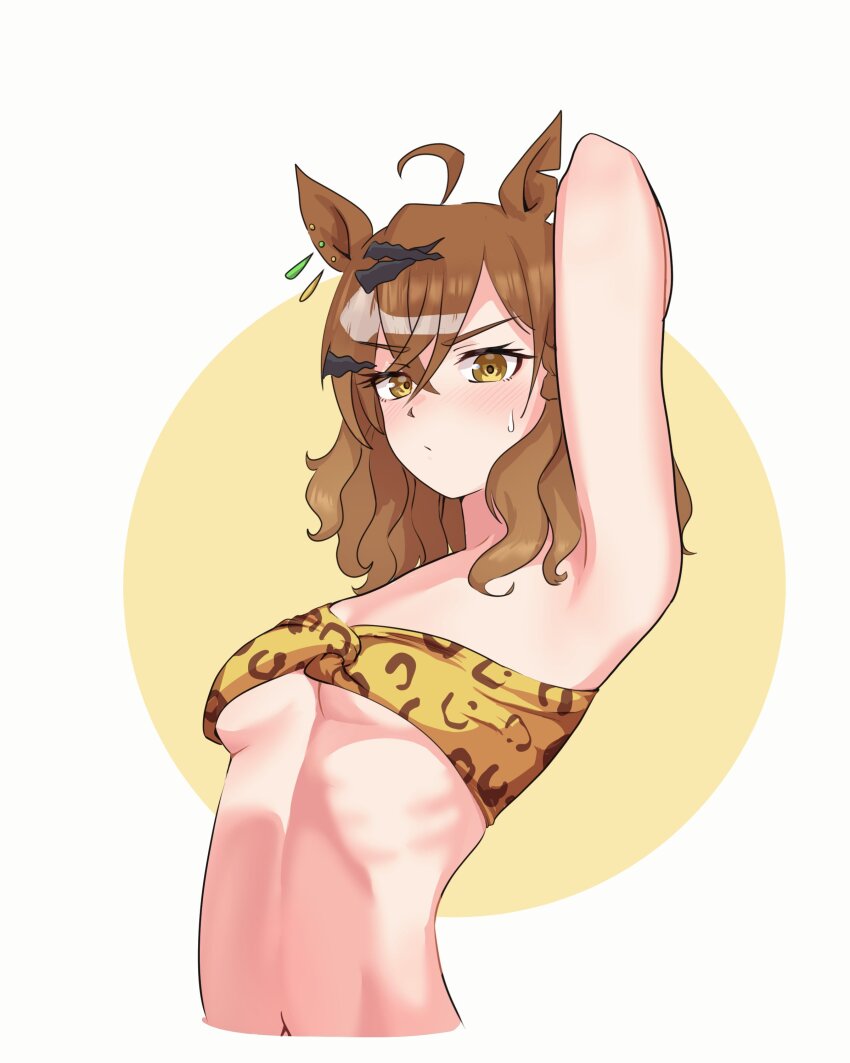 Jungle Pocket (Umamusume) Rule 34 Image