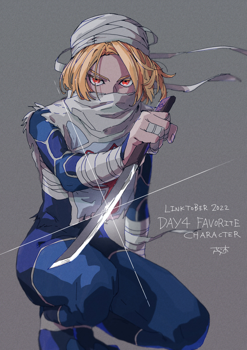 Sheik (Nintendo) Rule 34 Image