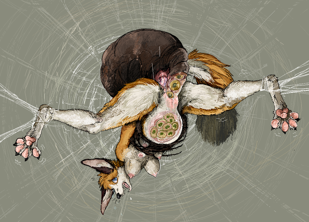 Anthro Rule 34 Image