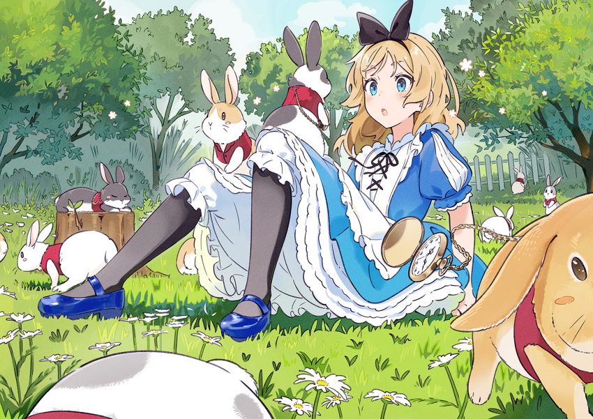 Alice'S Adventures In Wonderland (Alice (Alice In Wonderland)) Rule 34 Image