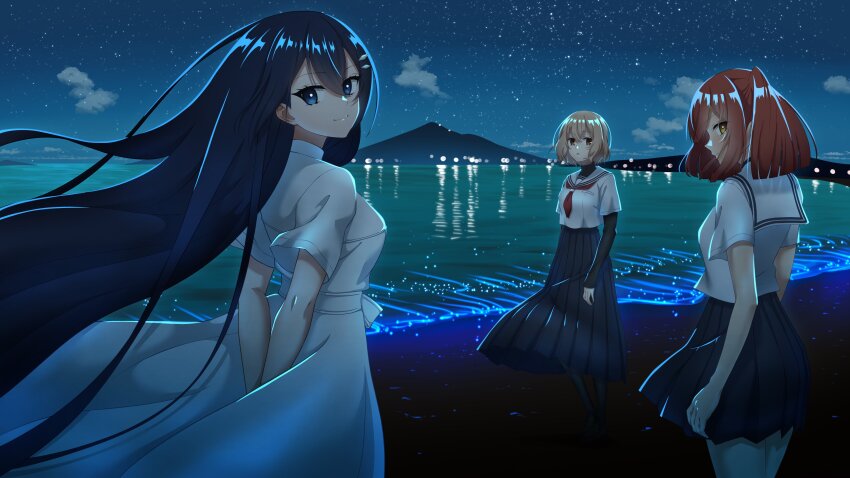 Yaotose Hinako (Watashi Wo Tabetai Hitodenashi) Rule 34 Image