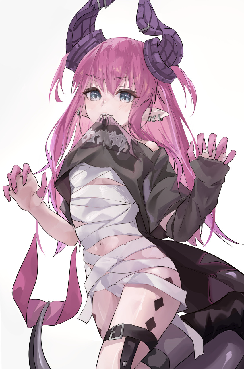 Elizabeth Bathory (Fate) Rule 34 Image