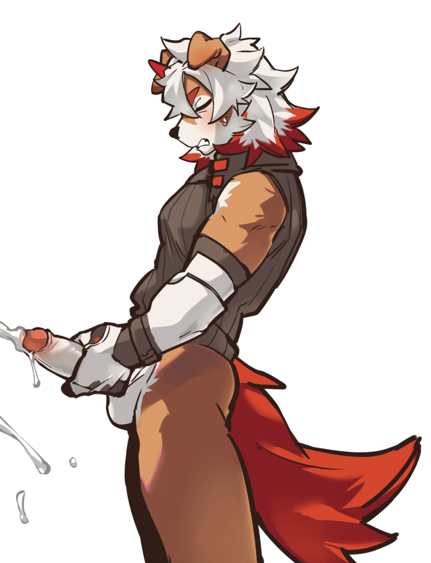 Hung (Arknights) Rule 34 Image