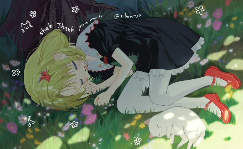 Rumia (Touhou) Rule 34 Image