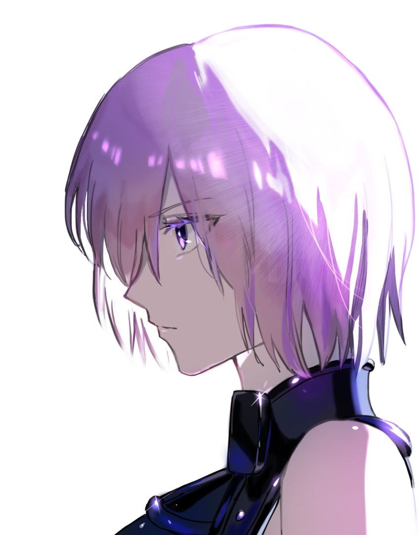 Mash Kyrielight (Fate/Grand Order) Rule 34 Image