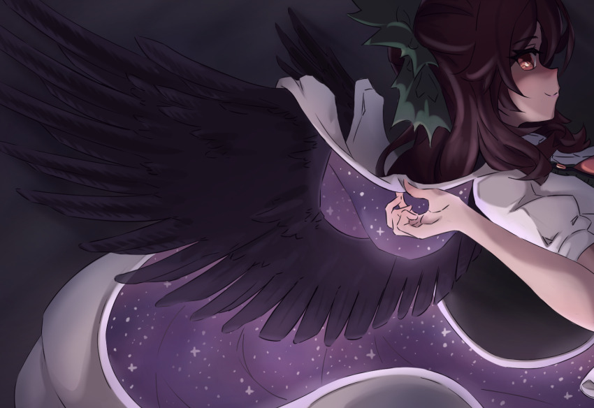 Reiuji Utsuho (Touhou) Rule 34 Image