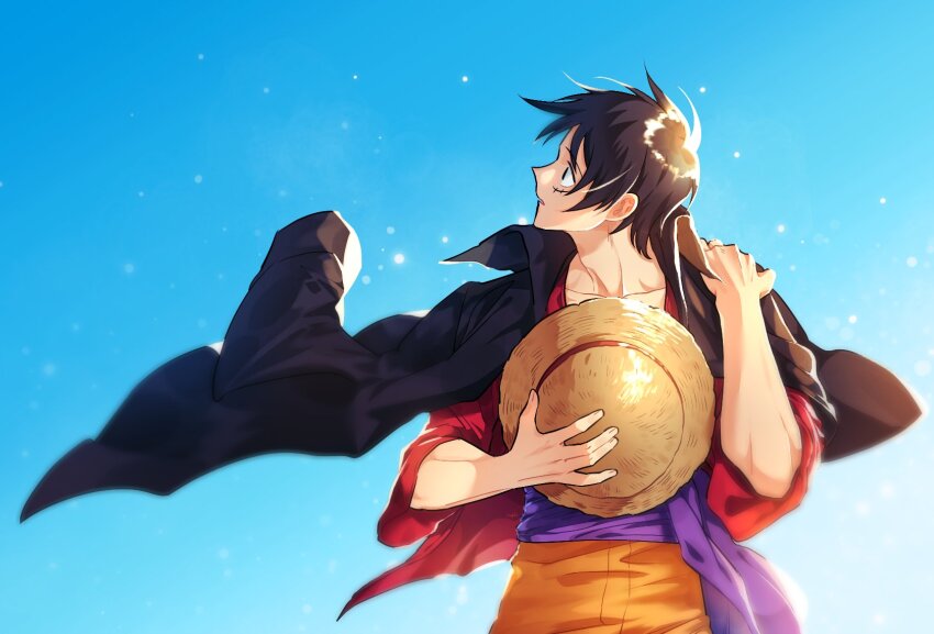 Monkey D. Luffy Rule 34 Image